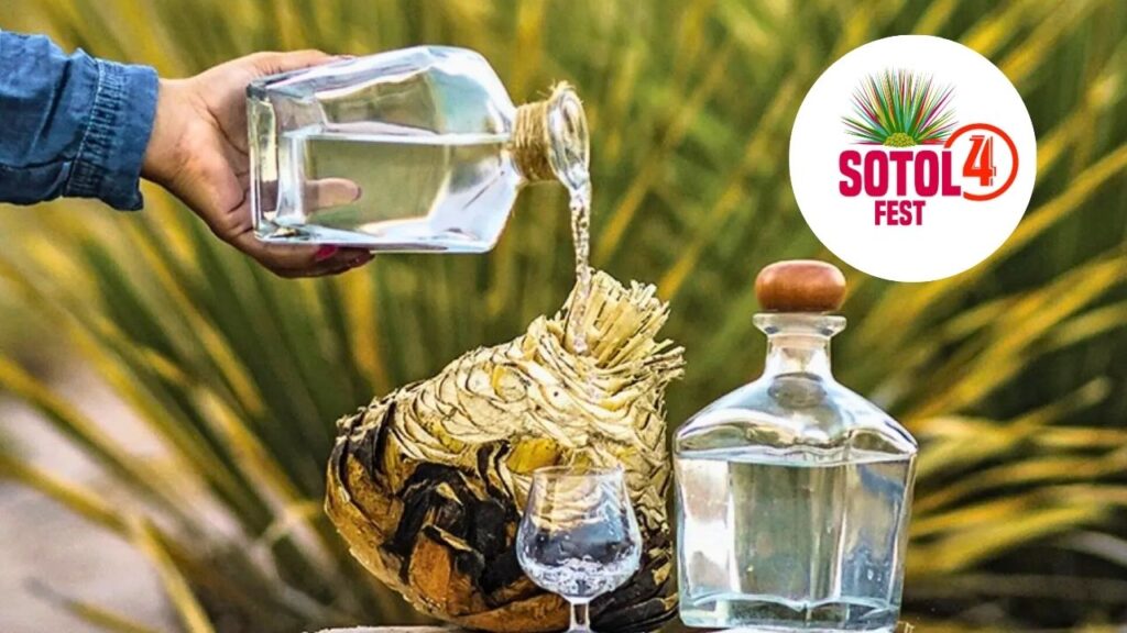 Sotol Fest Torreón 2025: Fecha y detalles