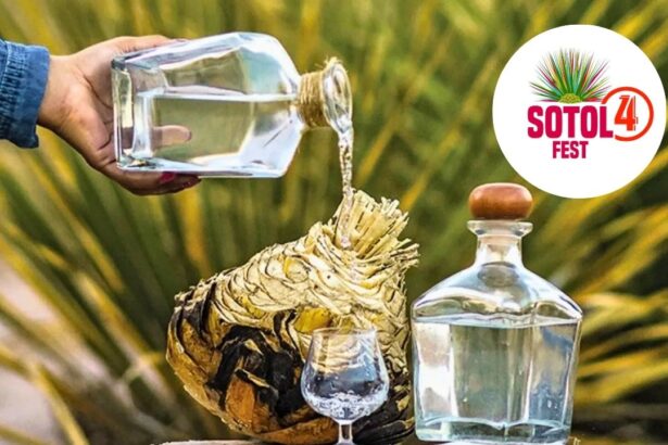 Sotol Fest Torreón 2025: Fecha y detalles