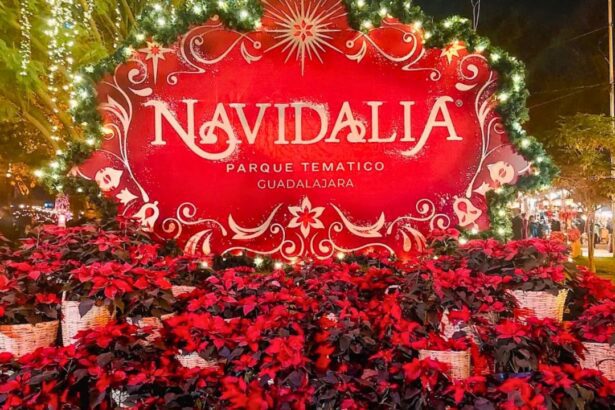 Guía para comprar boletos de Navidalia 2025