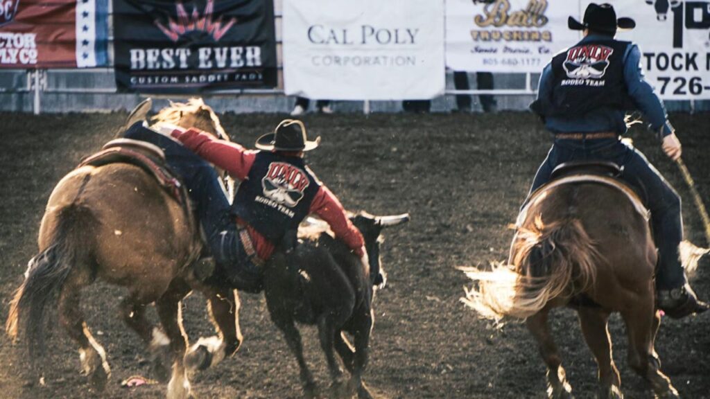 Conoce todos los detalles del Rodeo del Desierto