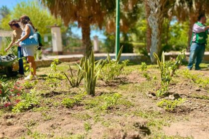 Torreón planta más de 18 mil árboles en 2025
