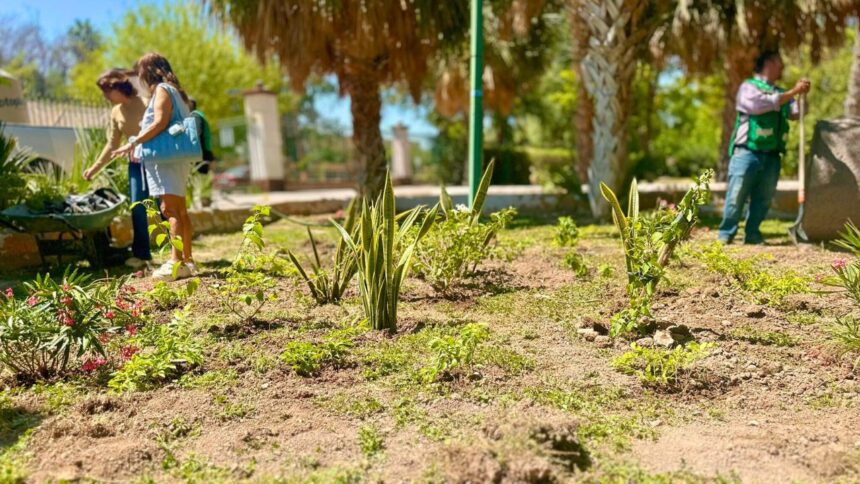Torreón planta más de 18 mil árboles en 2025