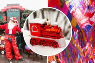 Actividades en Torreón el primer fin de semana de diciembre 2025