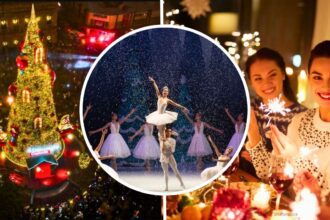 Agenda completa de eventos en Saltillo del 12 al 14 de diciembre