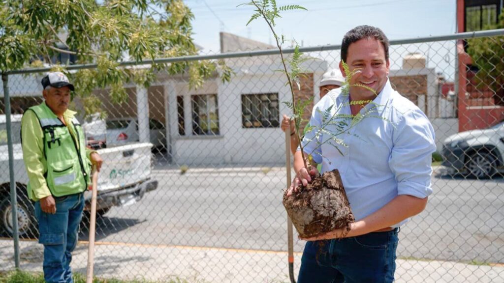 Saltillo acelera su reforestación urbana con más de 15 mil árboles