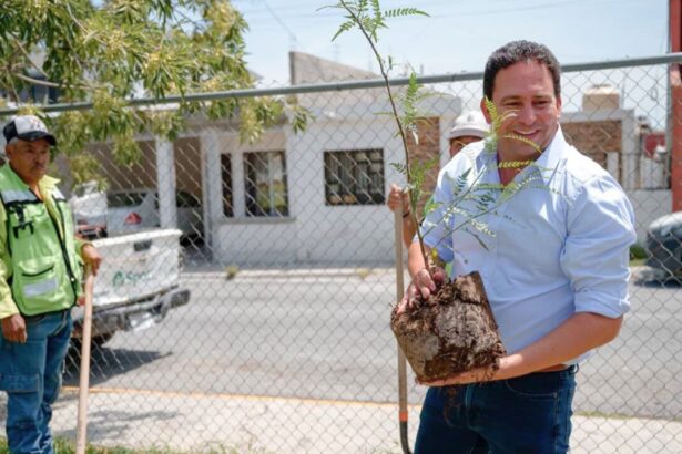 Saltillo acelera su reforestación urbana con más de 15 mil árboles