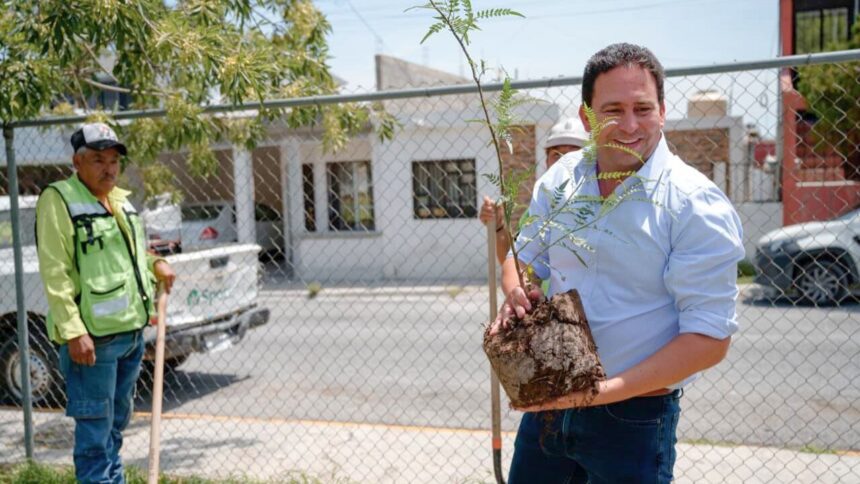 Saltillo acelera su reforestación urbana con más de 15 mil árboles