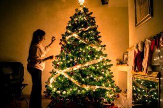 Saltillo instalará centros de acopio para pinos navideños