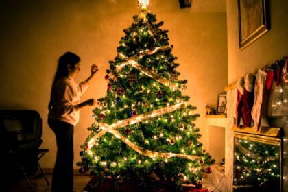 Saltillo instalará centros de acopio para pinos navideños