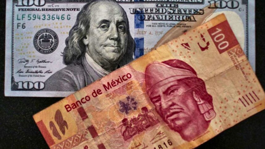 Cotización del dólar hoy lunes 26 de enero