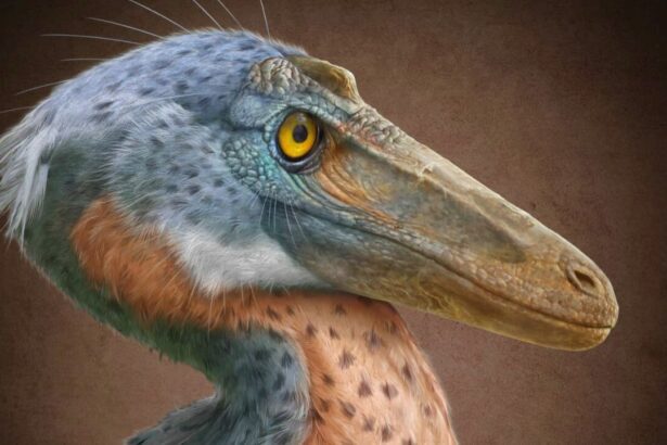 Xenovenator espinosi llega al MUDE de Saltillo