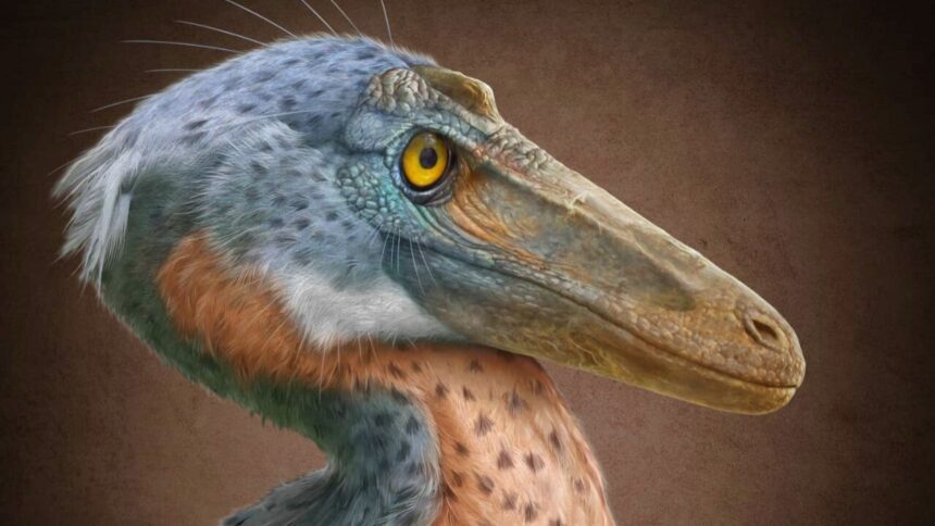 Xenovenator espinosi llega al MUDE de Saltillo