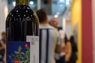 Arte y Cultura / Lifestyle / Vinos