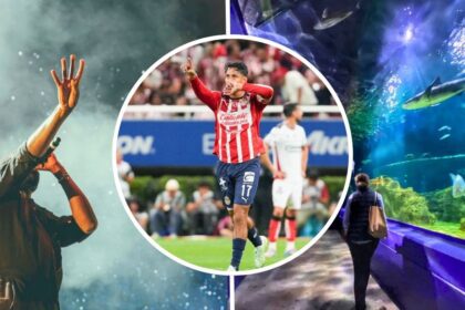 Agenda de fin de semana en Guadalajara: Del 9 al 11 de enero