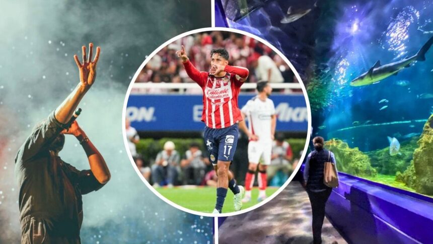 Agenda de fin de semana en Guadalajara: Del 9 al 11 de enero