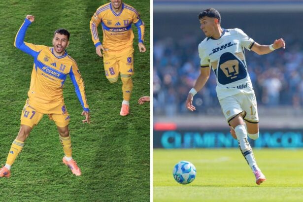 Tigres vs Pumas EN VIVO: Te decimos cómo ver la Jornada 2