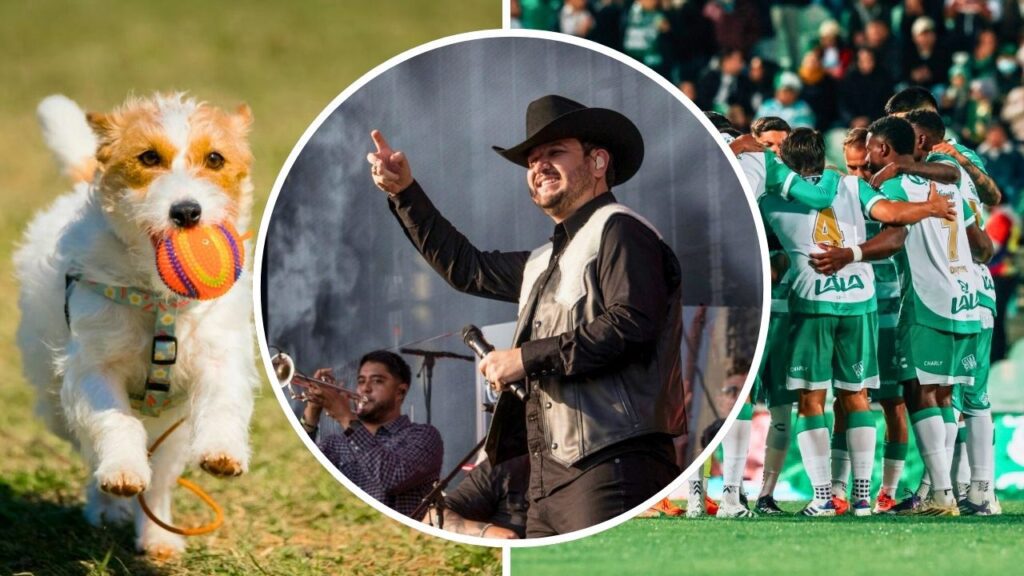 Guía de actividades en Torreón en febrero 2026: Conciertos, espectáculos y eventos imperdibles