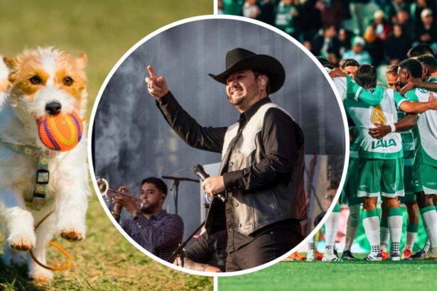 Guía de actividades en Torreón en febrero 2026: Conciertos, espectáculos y eventos imperdibles