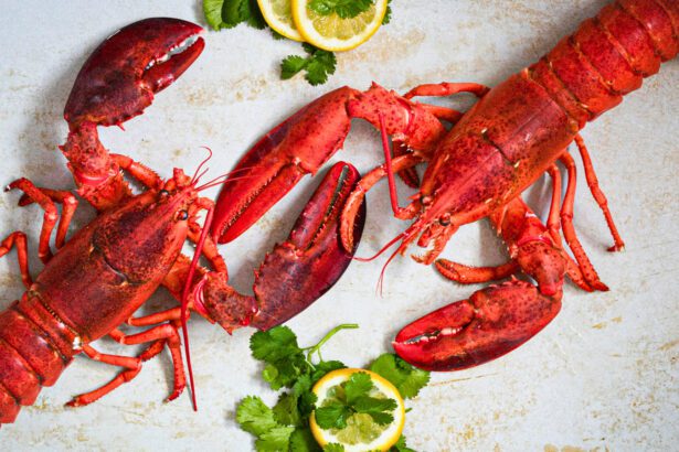 Restaurantes TOP para Cuaresma en Torreón 2026