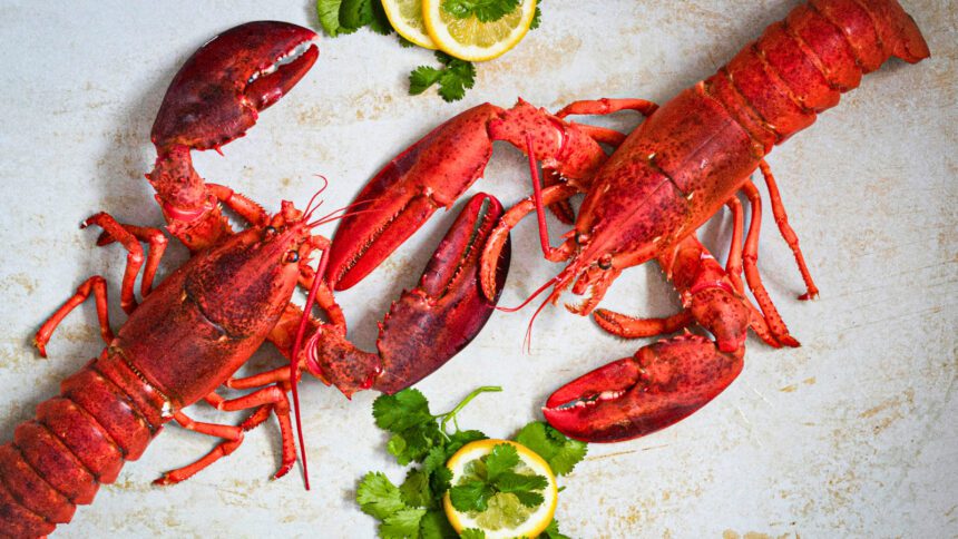 Restaurantes TOP para Cuaresma en Torreón 2026