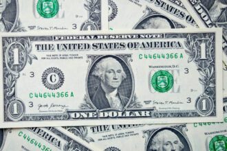 Dólar hoy en México: peso avanza este 24 de febrero de 2026