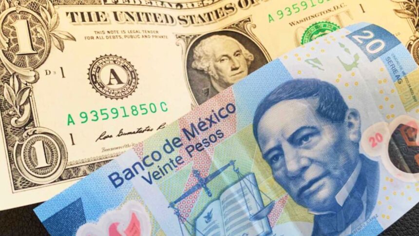 Precio del dólar en México HOY martes 10 de febrero de 2026
