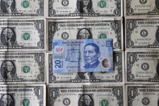 Dólar hoy 11 de febrero en México