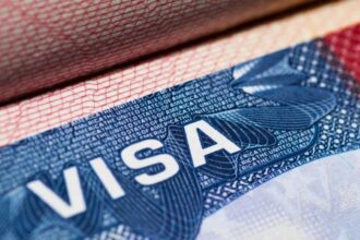 Visa americana en Guadalajara: ¿Cuándo hay citas disponibles?