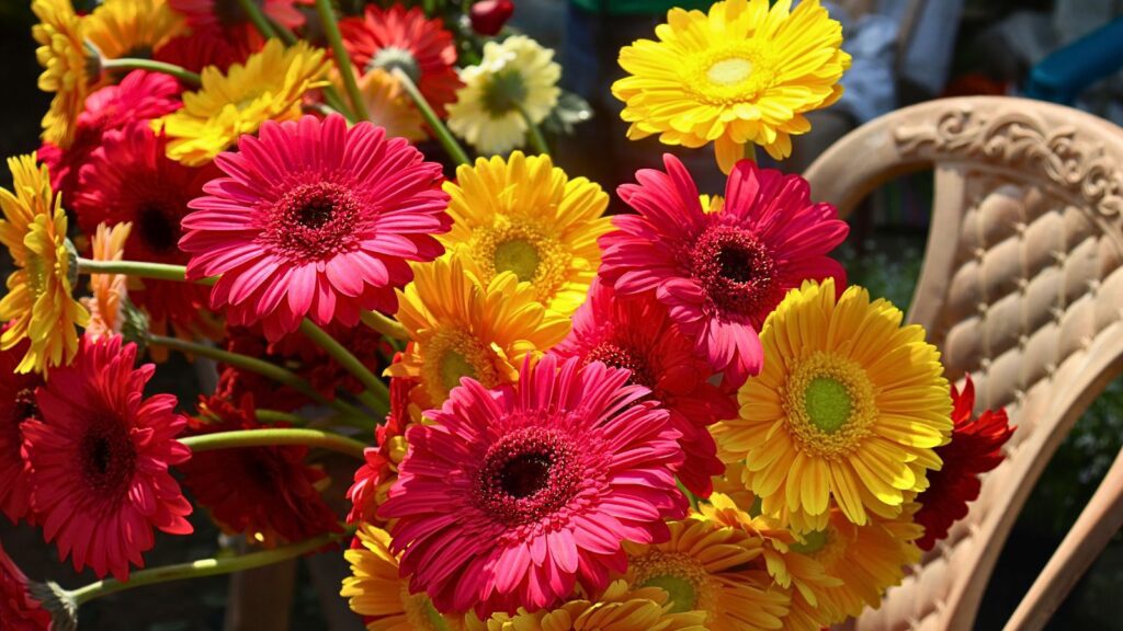 Desfile de Primavera en La Laguna 2026: horario y recorrido