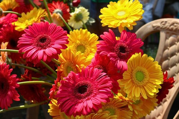 Desfile de Primavera en La Laguna 2026: horario y recorrido