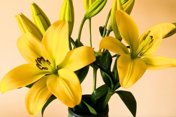 Flores amarillas: 5 alternativas chic para regalar este 21 de marzo