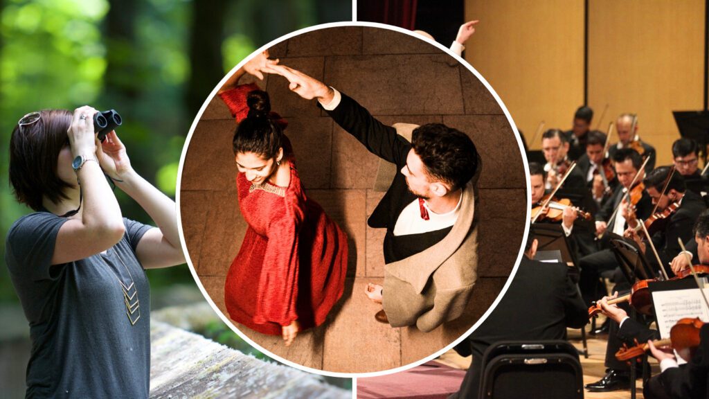 Eventos en Saltillo del 13 al 15 de marzo