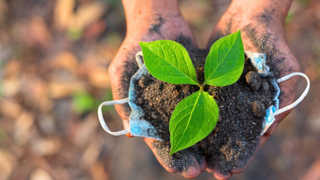 Conoce la gran campaña de reforestación en Saltillo