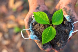 Conoce la gran campaña de reforestación en Saltillo