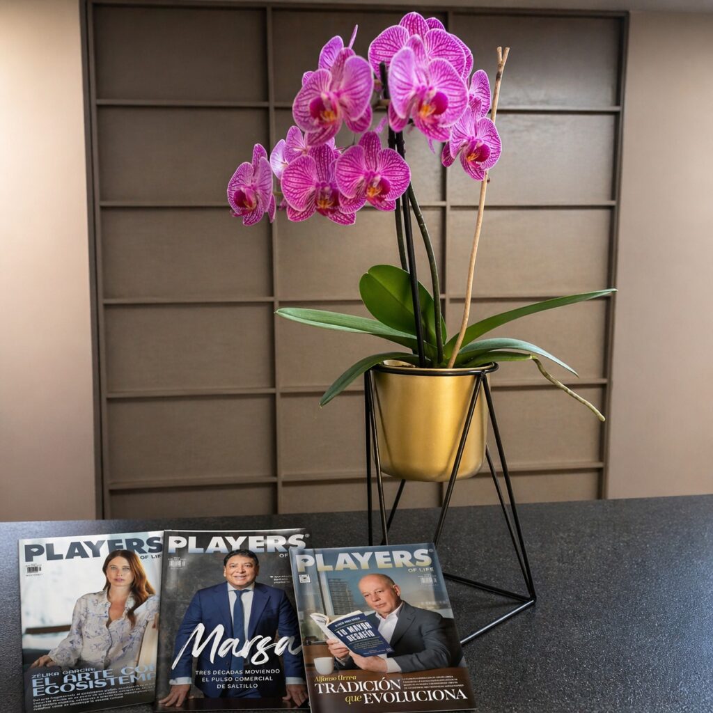 Ideas DIY (Do It Yourself)