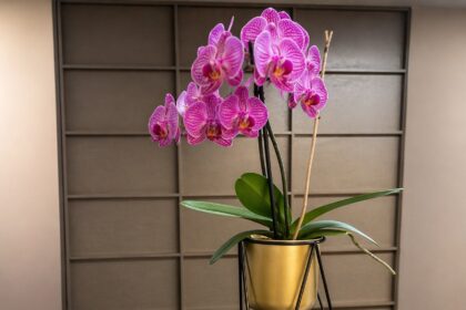 Ideas DIY (Do It Yourself)