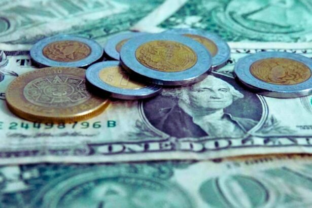 ¿Sube o baja? Precio del dólar hoy en México, viernes 24 de abril de 2026