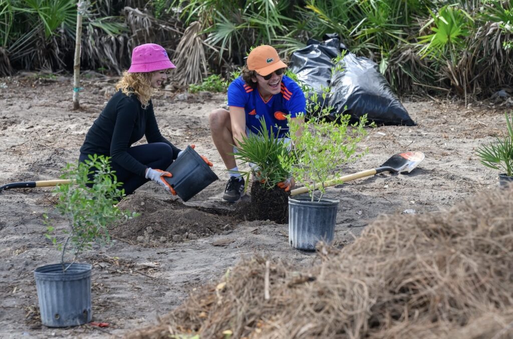 Las acciones de reforestación de la FIFA ya comenzaron; México está incluido luego del Mundial