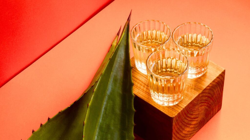 Monterrey tendrá Mezcal Fest 2026 en pleno Mundial: conoce fechas y precios