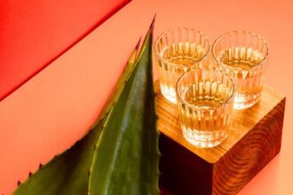 Monterrey tendrá Mezcal Fest 2026 en pleno Mundial: conoce fechas y precios