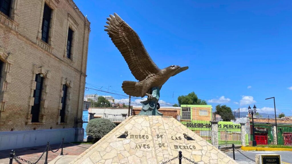 MUSAVE Saltillo: actividades gratis por Día del Niño este 30 de abril