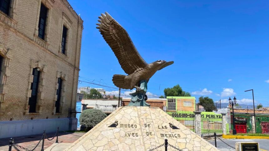 MUSAVE Saltillo: actividades gratis por Día del Niño este 30 de abril