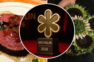 Guadalajara recibe la Guía Michelin 2026: Ganadores y recomendaciones