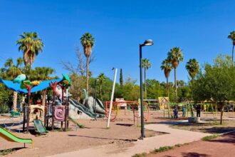 Bosque Venustiano Carranza de Torreón: Nuevas mejoras y reforestación