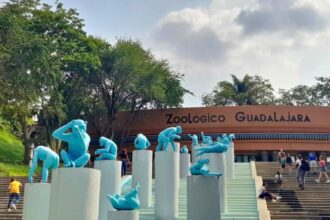 Promoción del Zoológico Guadalajara por el partido México vs Corea del Sur: Toda la información