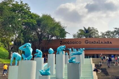 Promoción del Zoológico Guadalajara por el partido México vs Corea del Sur: Toda la información