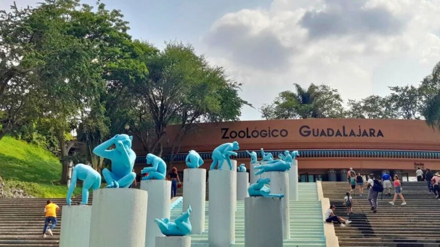 Promoción del Zoológico Guadalajara por el partido México vs Corea del Sur: Toda la información