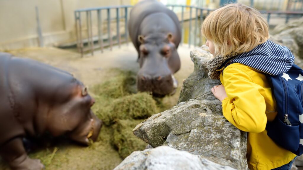 Zoológico Guadalajara regala entradas tras el triunfo de México: Así funciona la promo