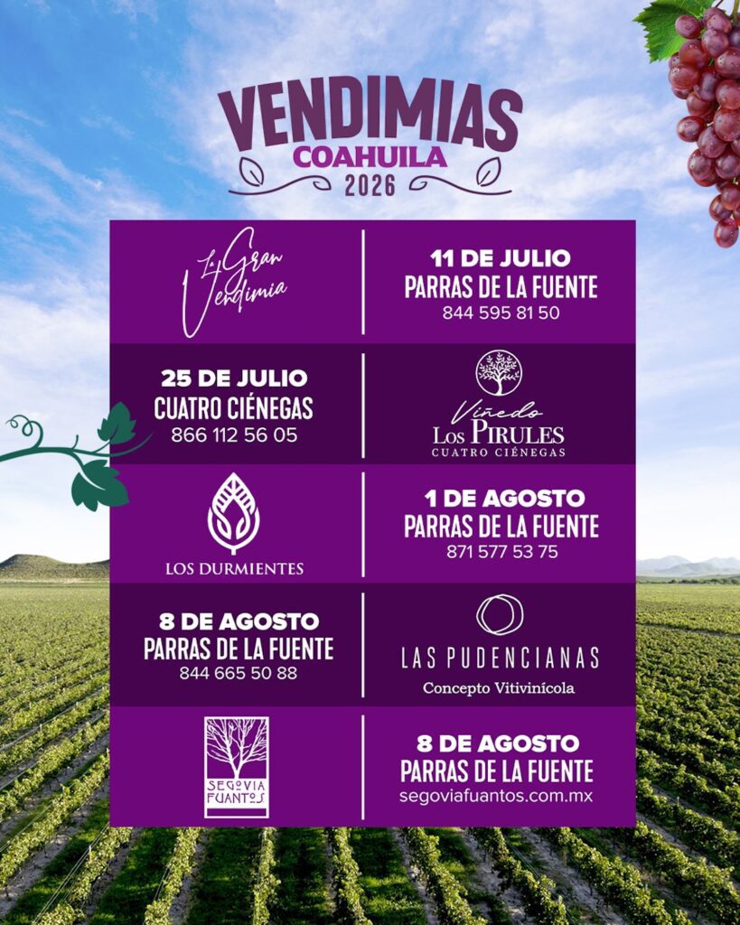 Coahuila inicia la temporada de vendimias 2026: Fechas y experiencias
