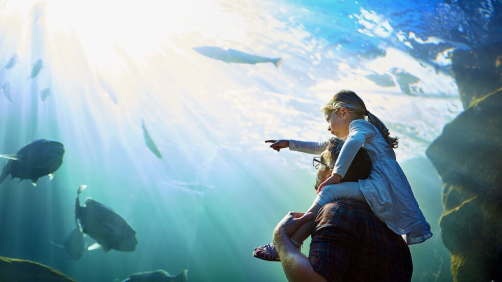 ¿Cuánto cuesta entrar al Acuario Michin Guadalajara este verano? Aquí la información. Foto: ENVATO